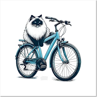 Ragdoll Cat On A Bicycle Posters and Art